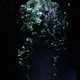 Illustration for article titled iOcarina of Times/i Zora Cave Gets a Next-Gen Facelift